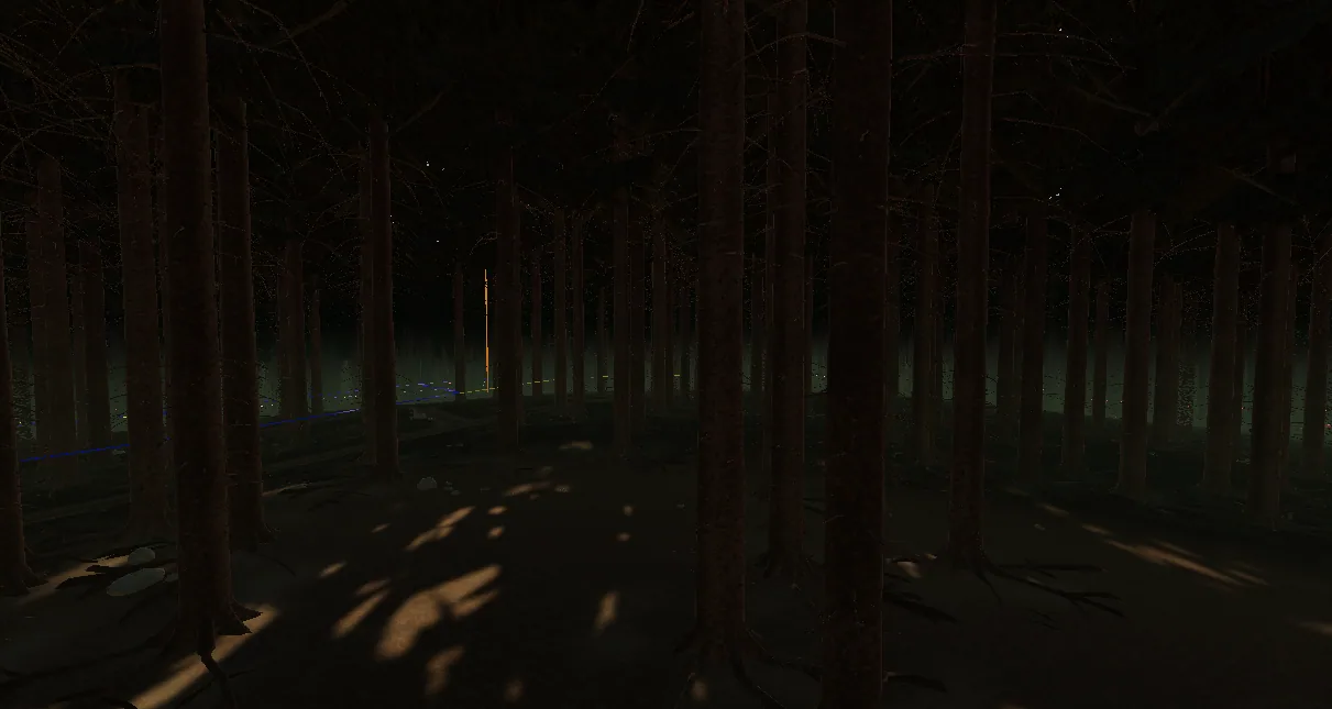Palautettu: kaukainen metsänpohja kuusten alla aurinkoa kohti katsottuna