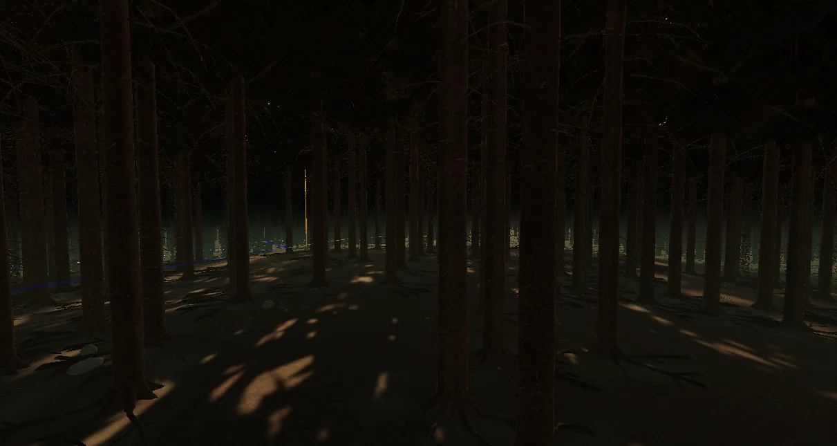 Kokeilu: kaukainen metsänpohja kuusten alla aurinkoa kohti katsottuna